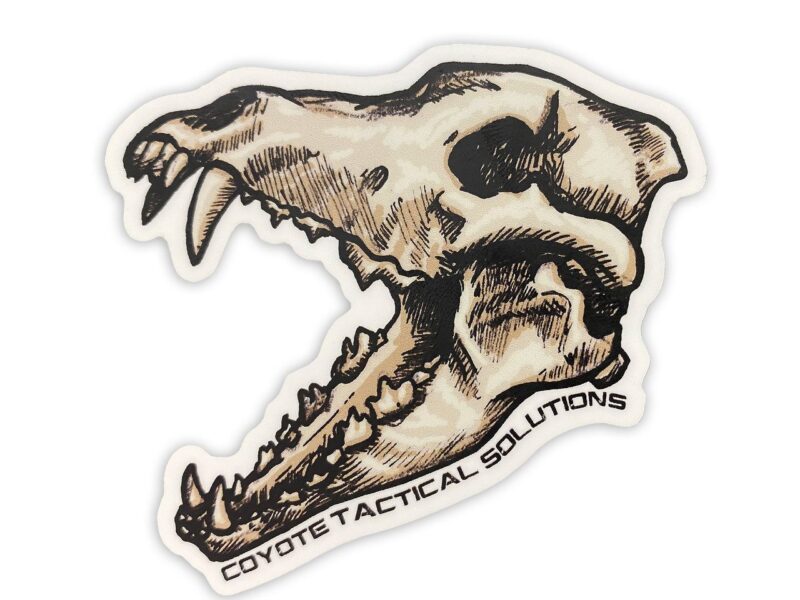 COYOTE SKULL